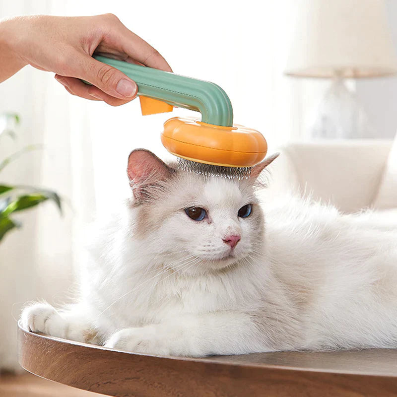 CEPILLO CALABAZA PARA MASCOTAS + PROMO