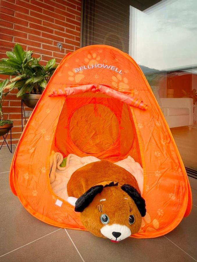 Carpa Magica con Peluche para Niños